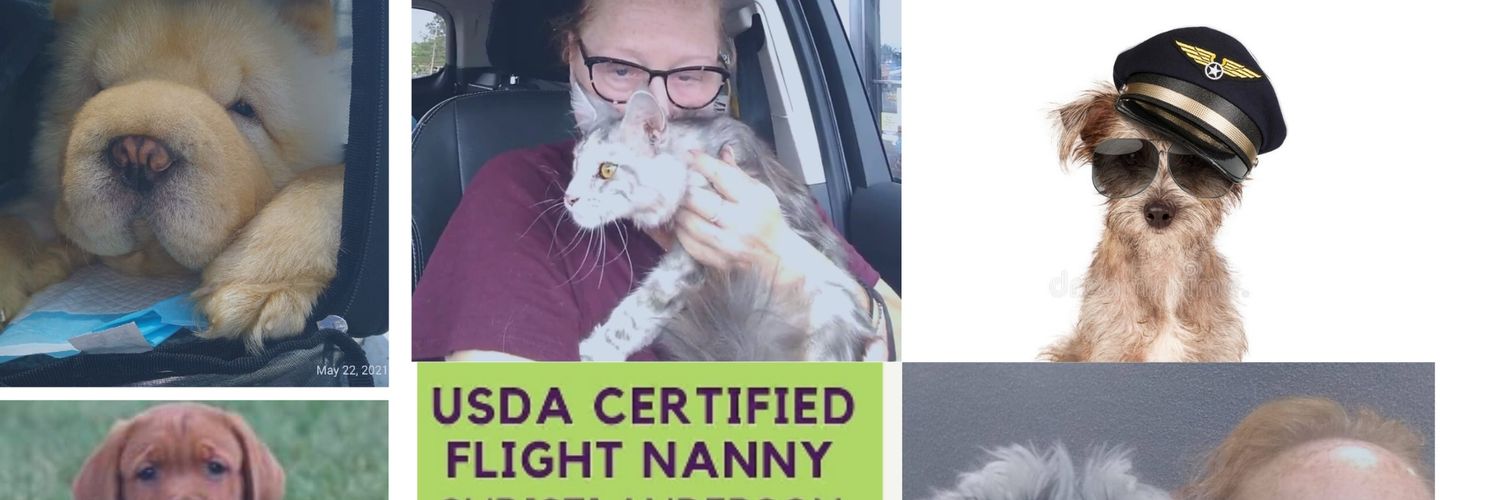 YourFlightNanny's profile banner image