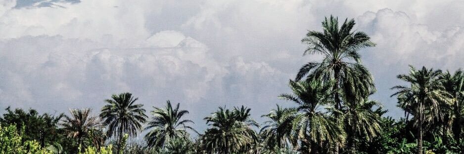 KhalidWahaibi1's profile banner image