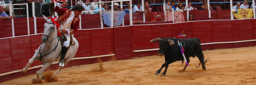 NavarroMau's profile banner image