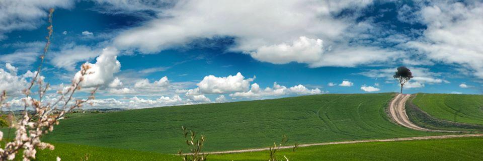 EccellenzedAbru's profile banner image