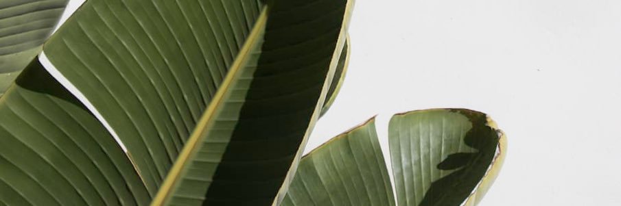 yigitgrchn's profile banner image