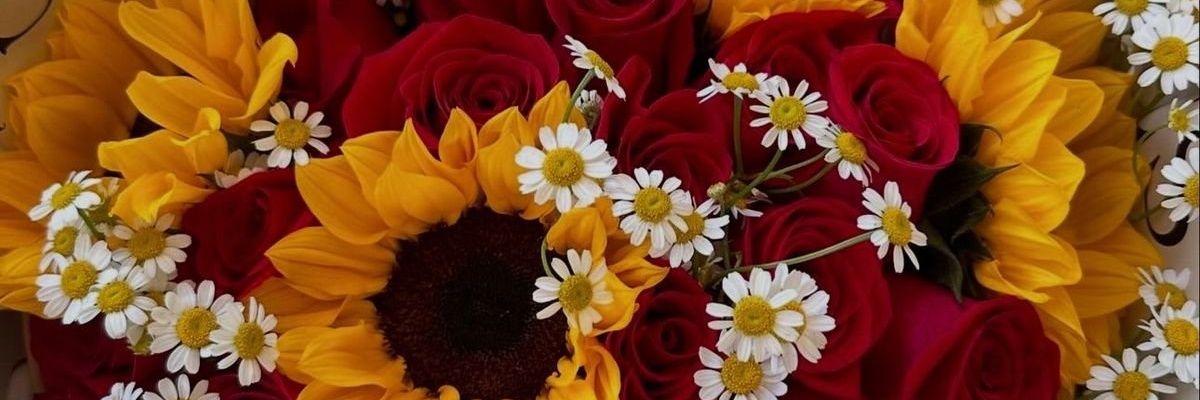 🍄Mousse🍄 banner
