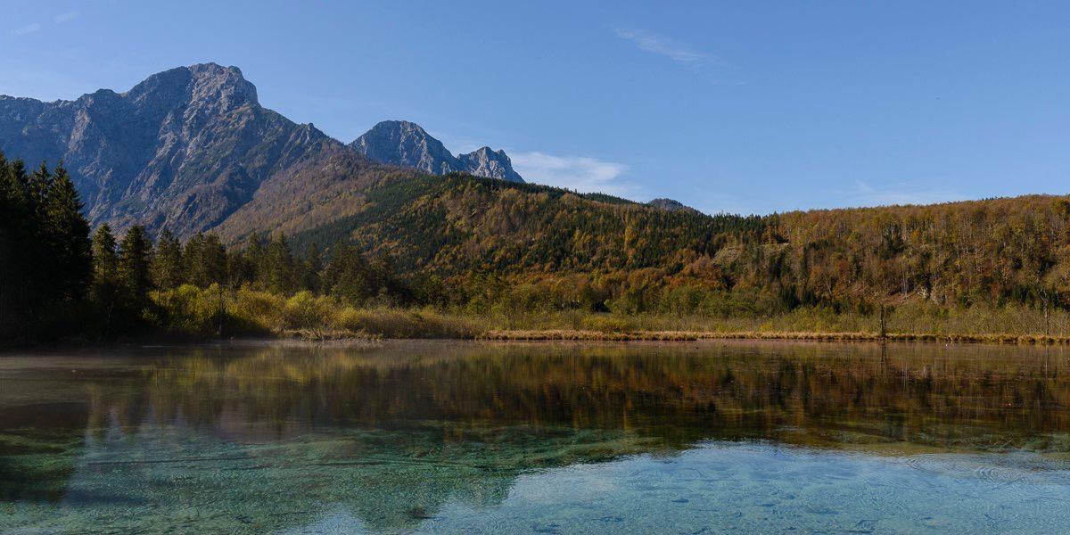 Robin Sandfort banner