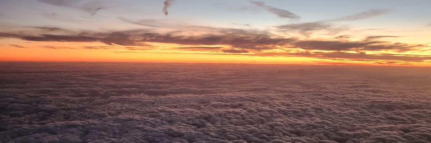 Dumb (plant enthusiast) banner