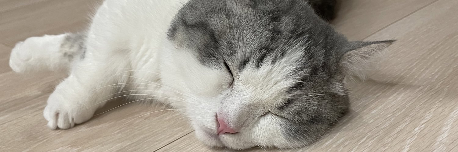 beeeenaru's profile banner image