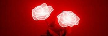 itscarolina_'s profile banner image
