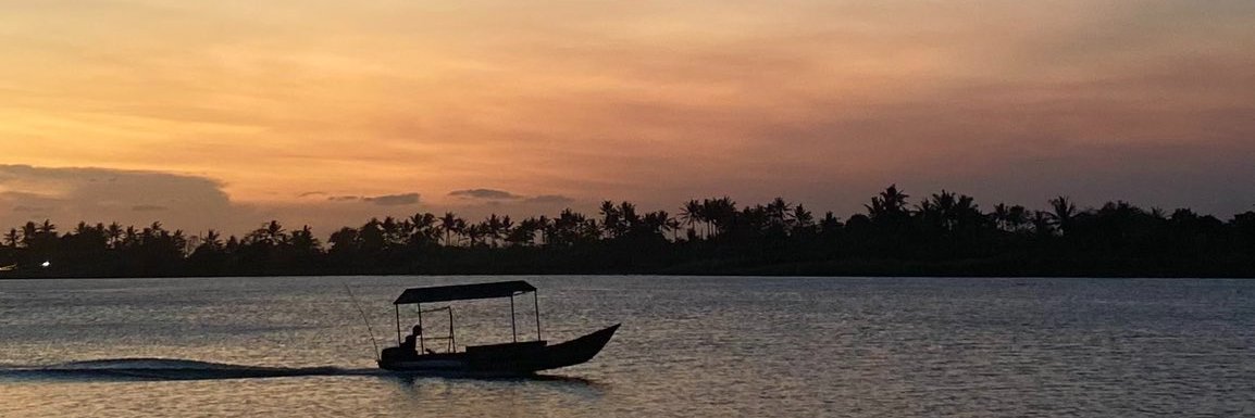 alvinameriani's profile banner image