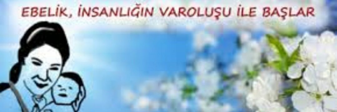 alverdgn's profile banner image