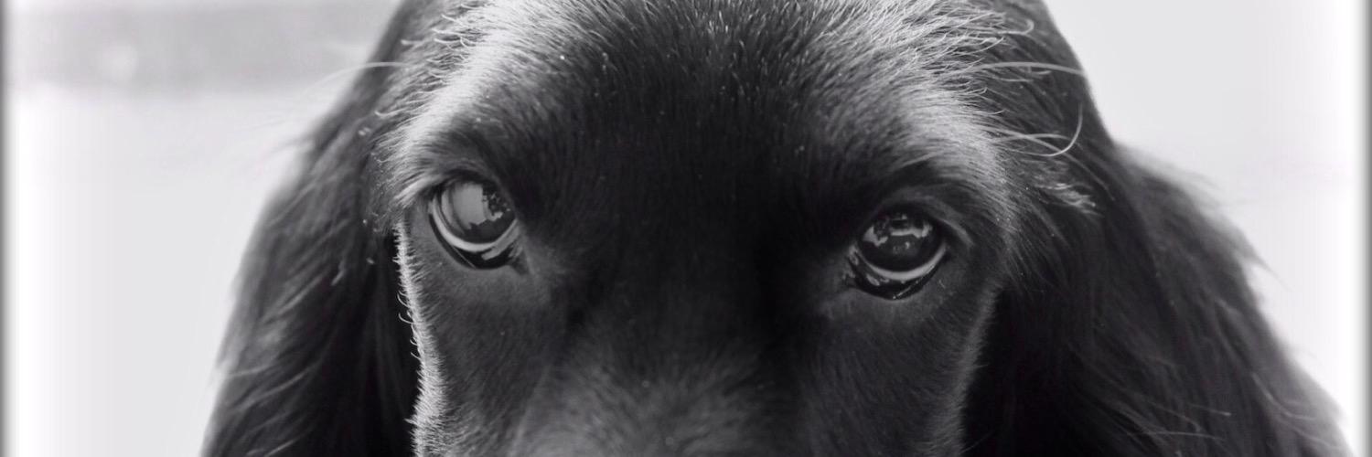 CarolineColin78's profile banner image