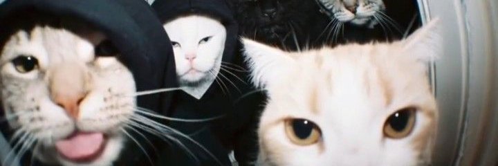 umacerro's profile banner image