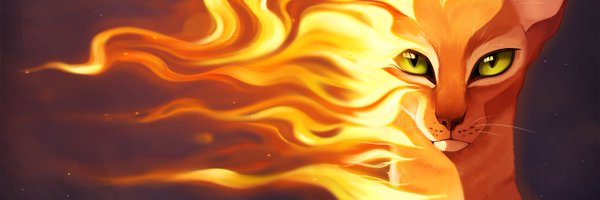 Maplespyder Profile Banner