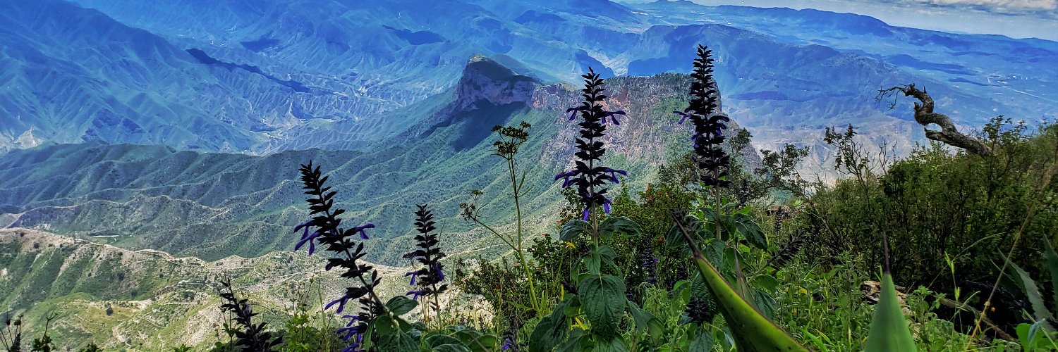 CassiePearse's profile banner image