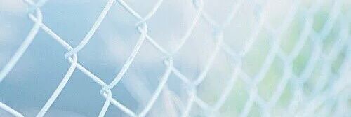 _pearlq's profile banner image