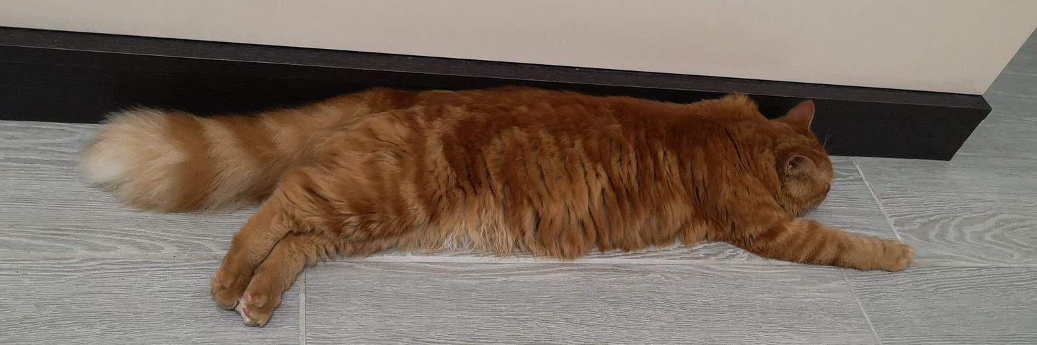 Dabilonpz's profile banner image
