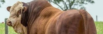 MideloJr's profile banner image