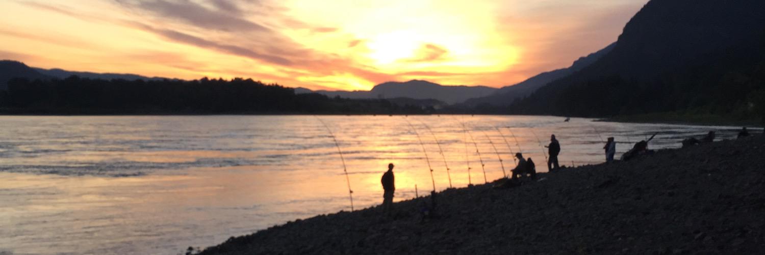 BrandonhNguyen's profile banner image
