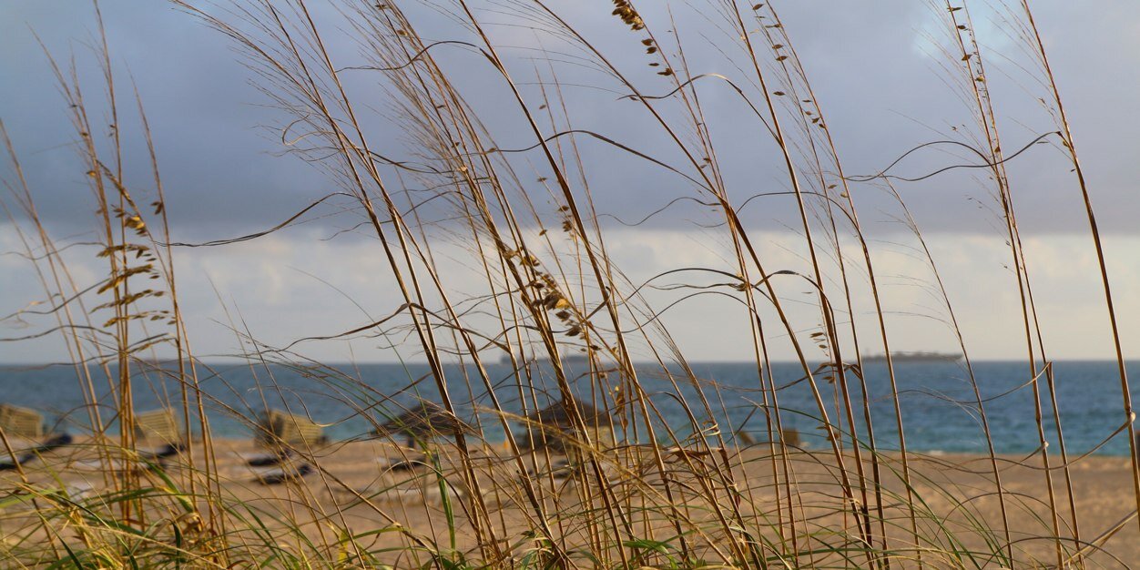 kansastwin's profile banner image