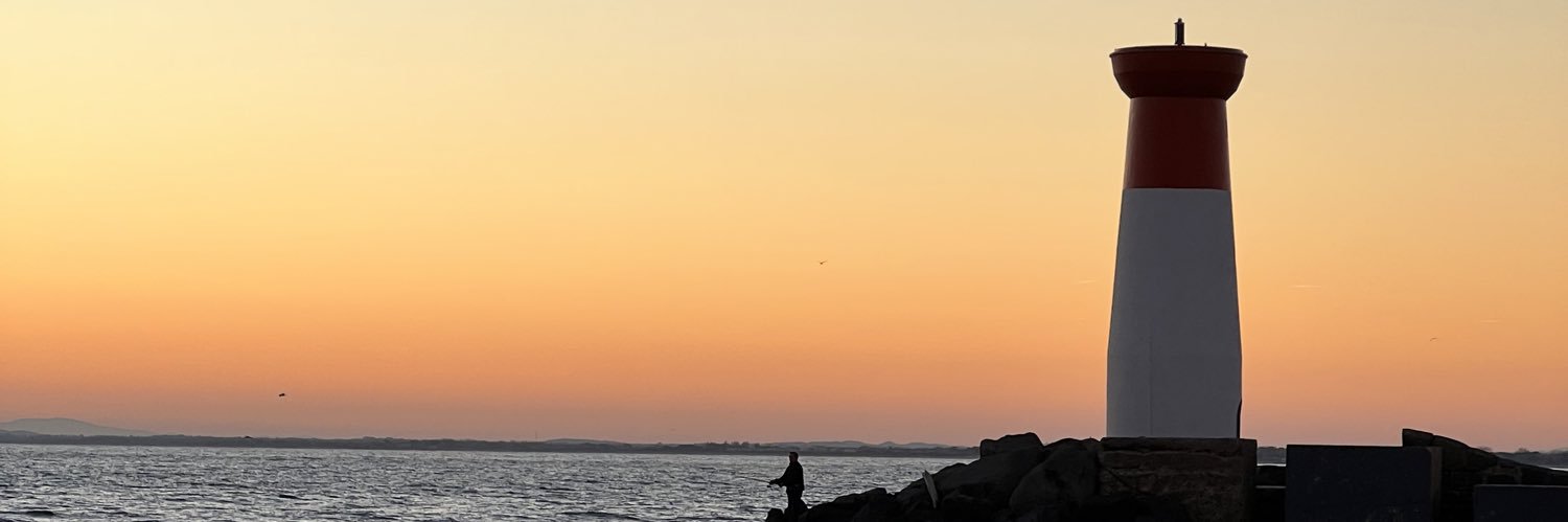 laplannes's profile banner image