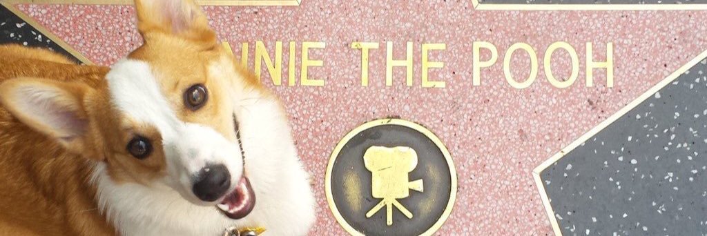 kathleenluy's profile banner image