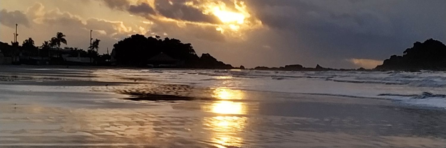 pepejv2's profile banner image