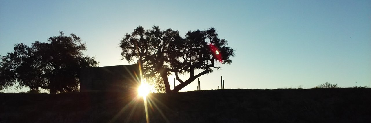 primirand4's profile banner image
