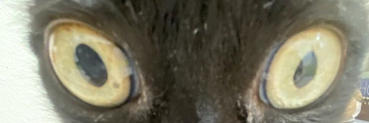Nicolass_577's profile banner image