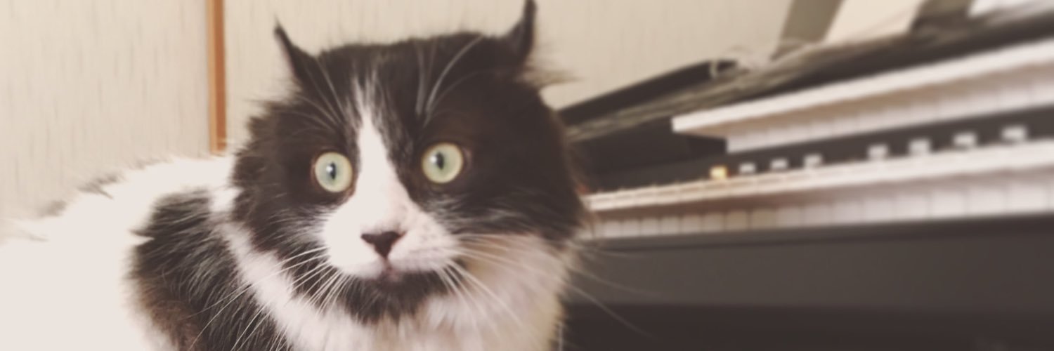 omitsusyrup's profile banner image