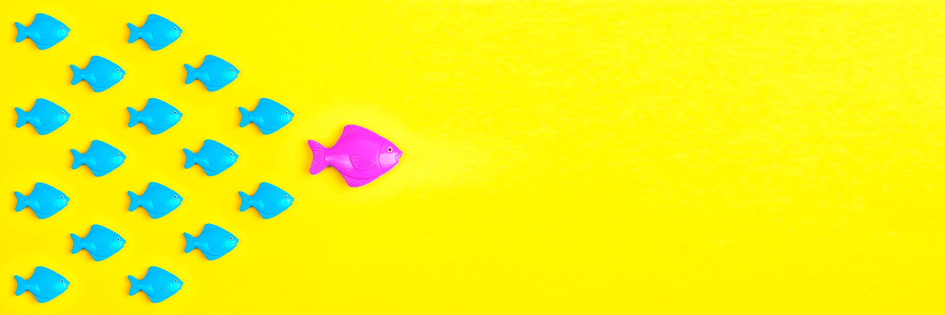 Marco Incomparable banner