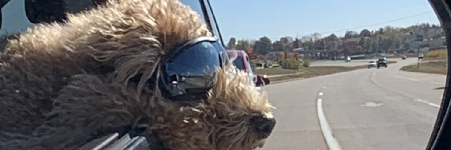 Meeehagen7's profile banner image