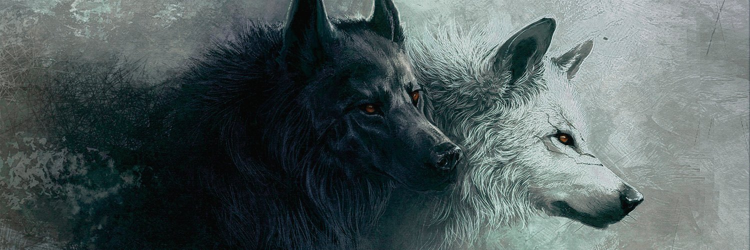noctblizz's profile banner image