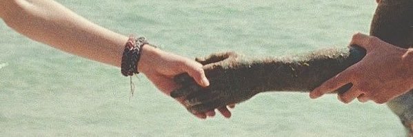 graycenhall's profile banner image
