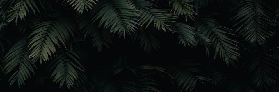 vincentinism's profile banner image