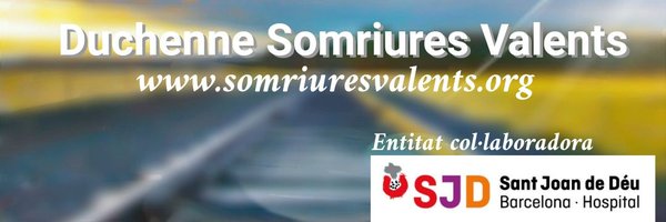 SomriuresValent Profile Banner