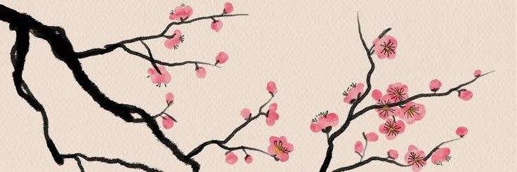 Tiago_AE banner