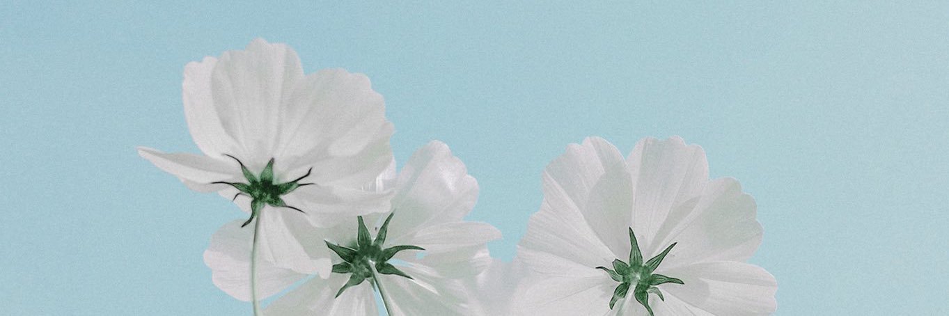 quuu10's profile banner image
