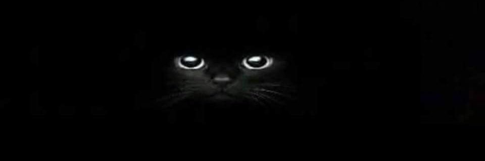 kumcaglar's profile banner image