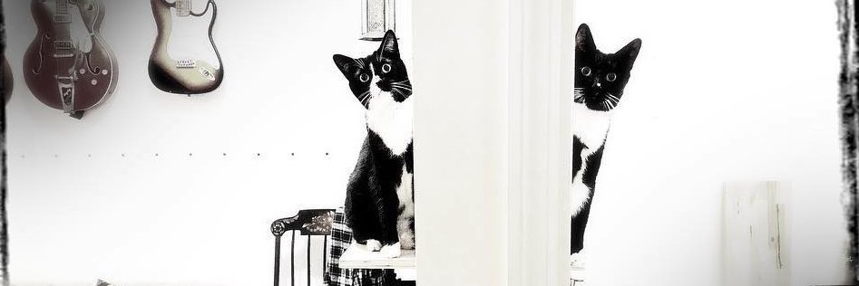 samanthasherman's profile banner image