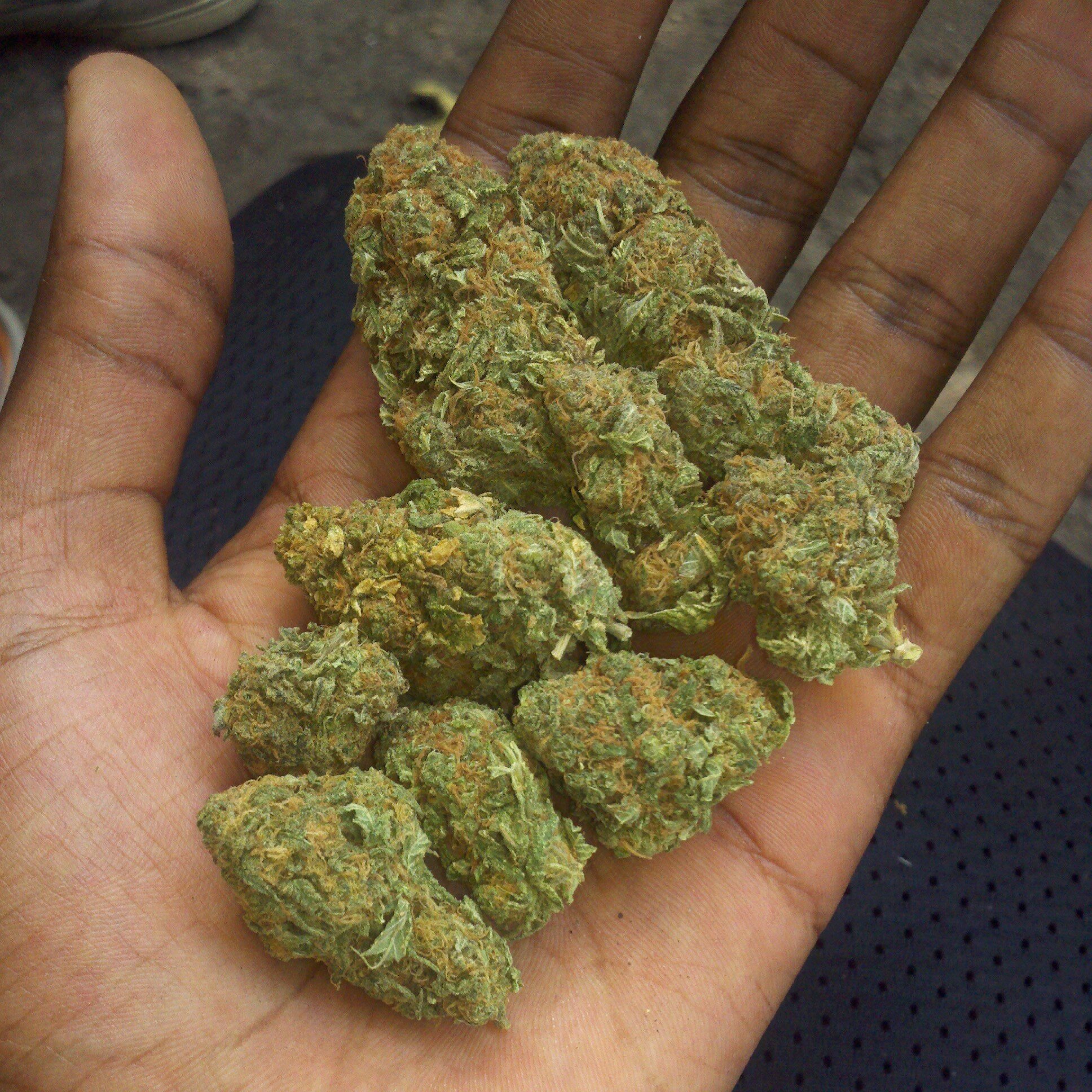 HIGH_Marley's profile banner image