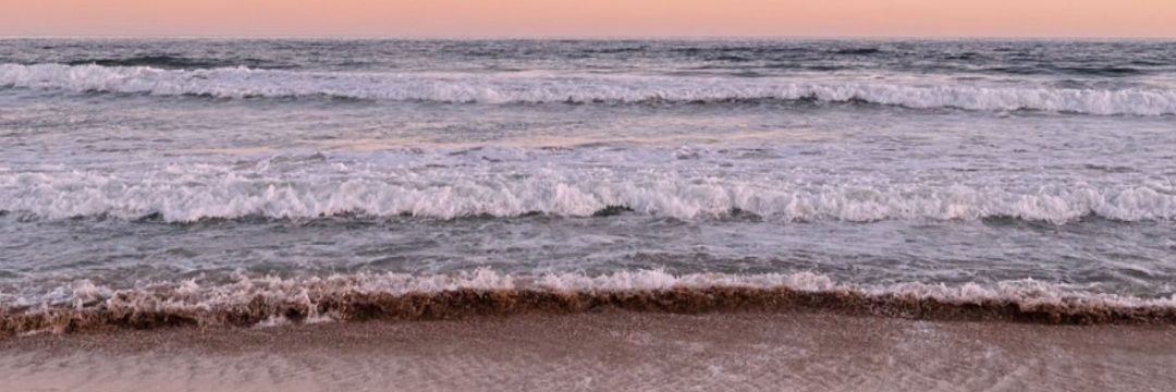 BriccoEmmaa's profile banner image
