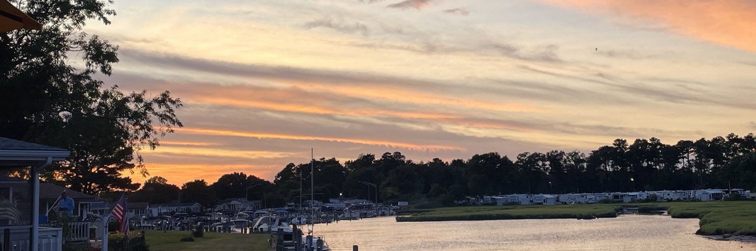 Caitlin Cocchi banner