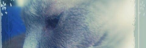 RobinjoNorris's profile banner image