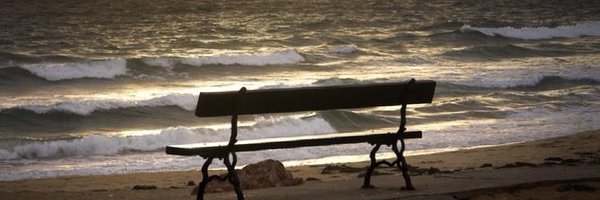 HargerMichelle Profile Banner