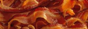 SusSuidae's profile banner image