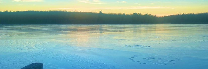 ericaxfrost's profile banner image
