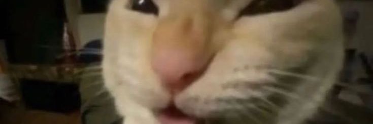 drukwide's profile banner image
