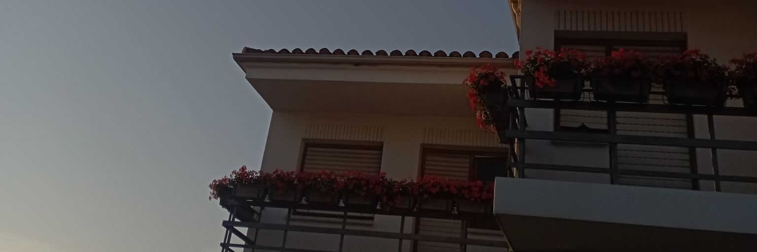 womanfool's profile banner image