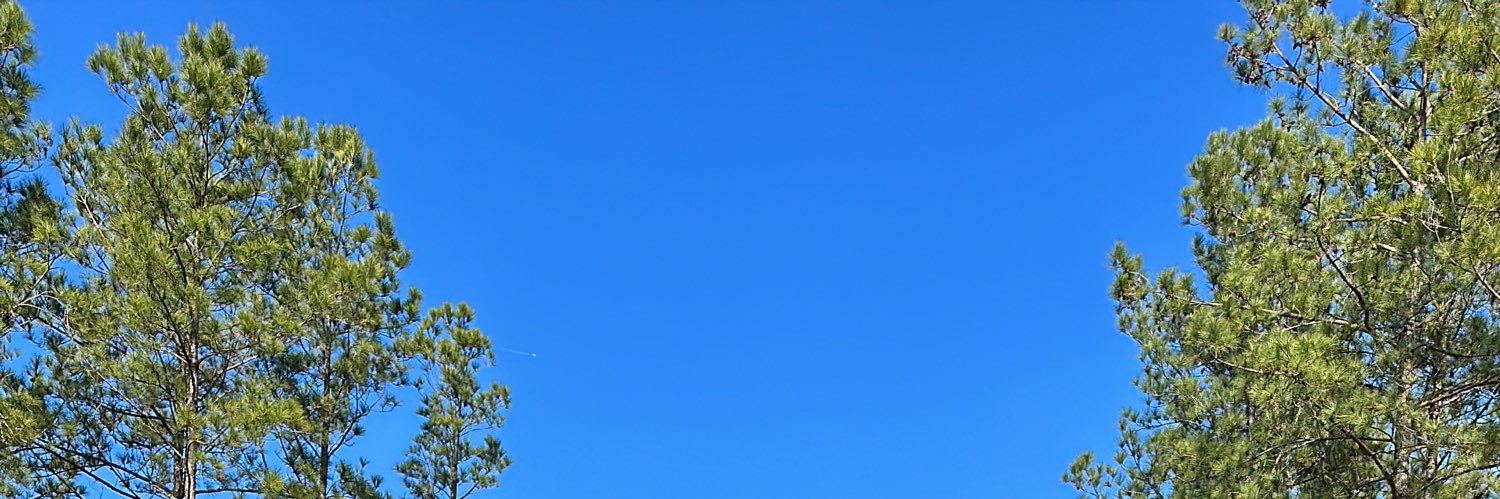 ninacontacones's profile banner image