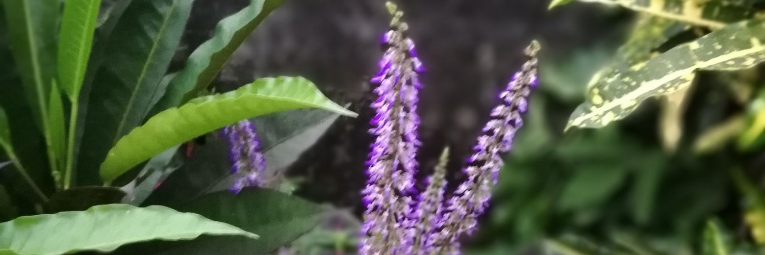 SmsLogic's profile banner image