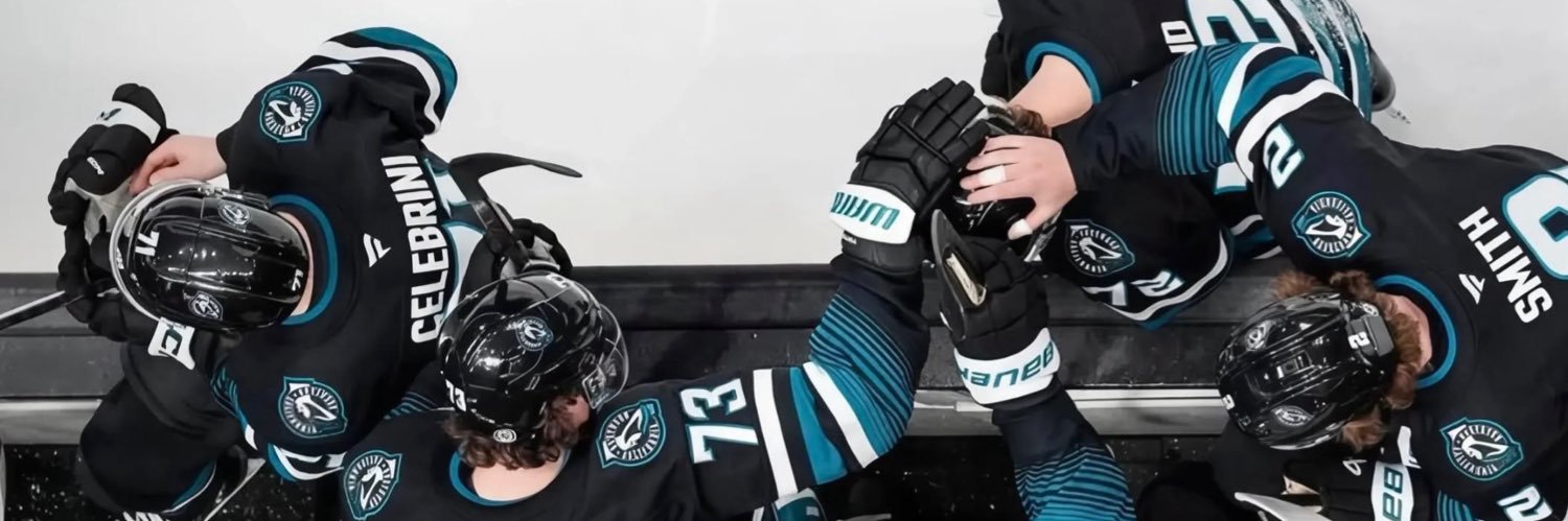 softforrozy's profile banner image
