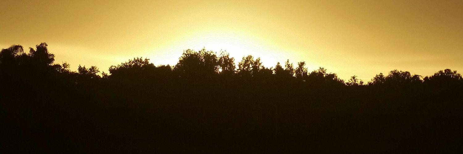 75prodigy's profile banner image
